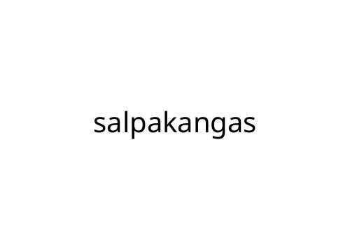 salpakangas