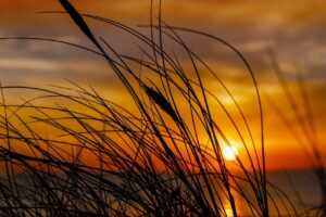 list of gamache books in order