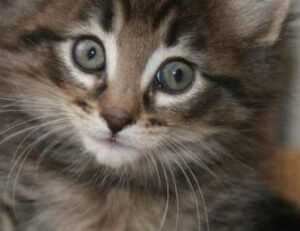 cardio vs weight training fntkgym