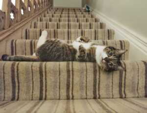 fntkgym gym tips by fitnesstalk