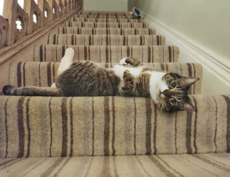 fntkgym gym tips by fitnesstalk