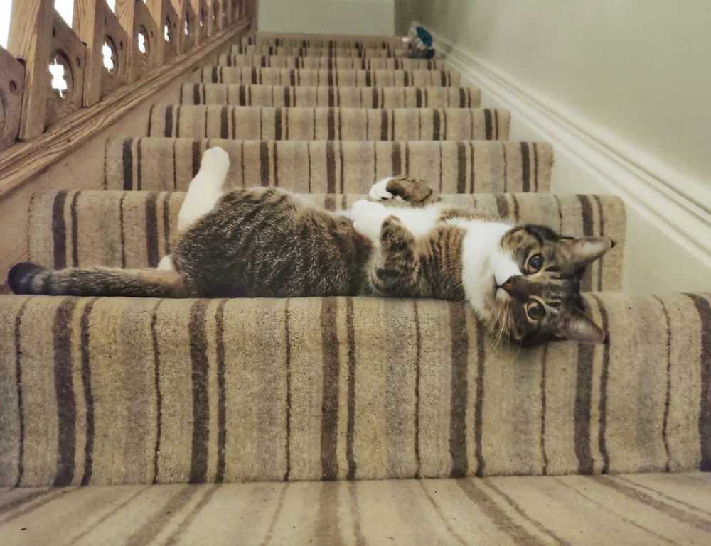 fntkgym gym tips by fitnesstalk