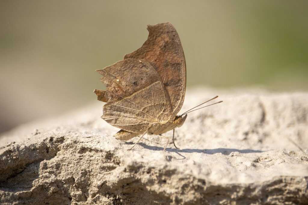 fntkgym gymansium guide from fitness-talk