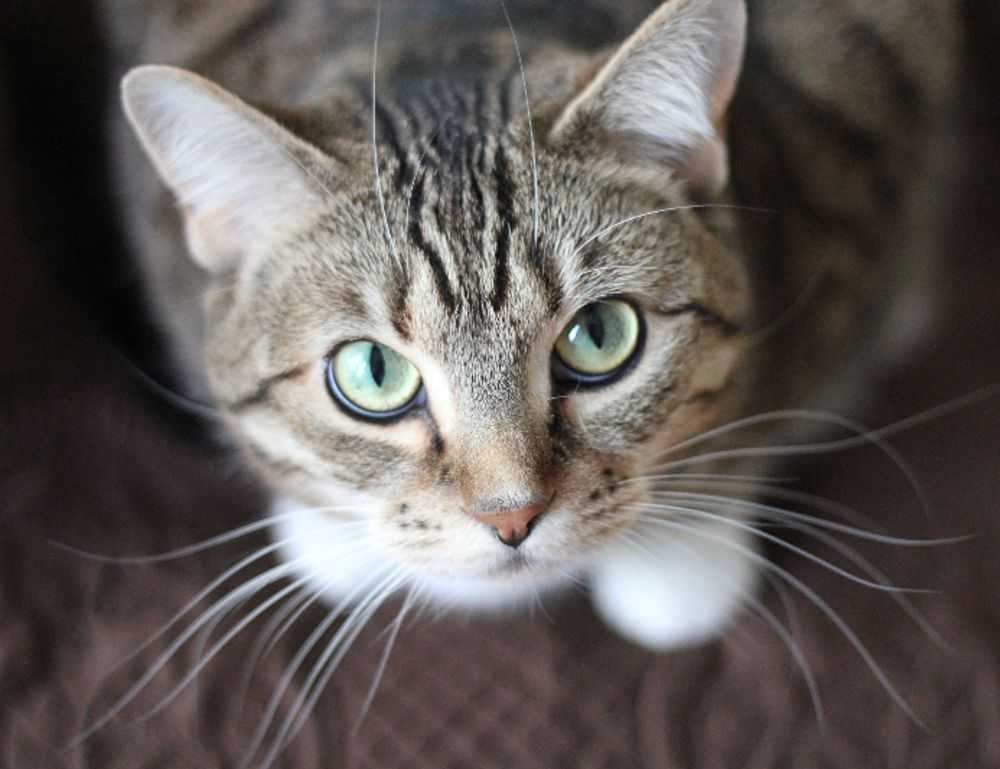 gymansium guide fntkgym