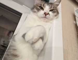 how to keep your gym pest free fntkgym