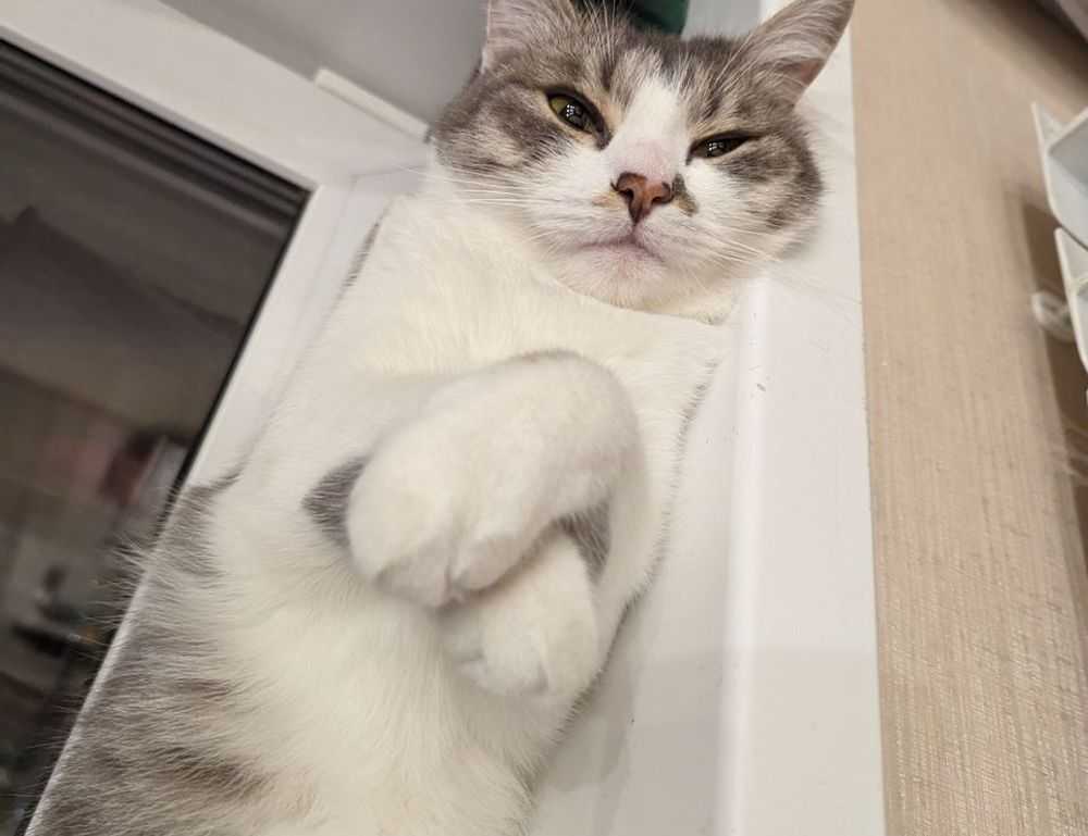 how to keep your gym pest free fntkgym