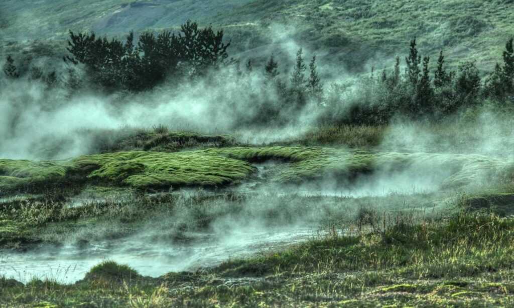 pre workout supplements fntkgym