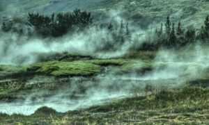 pre workout supplements fntkgym