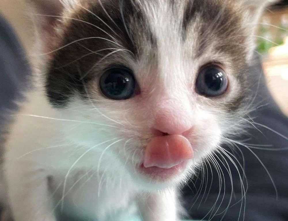 ways to take care of your body fntkgym