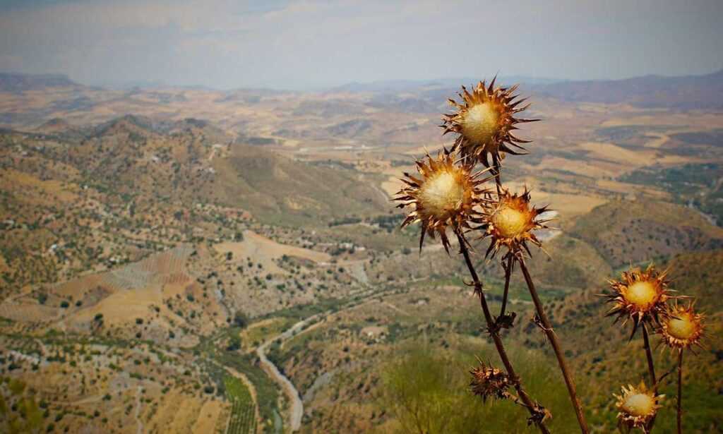 which pre workout should i buy fntkgym