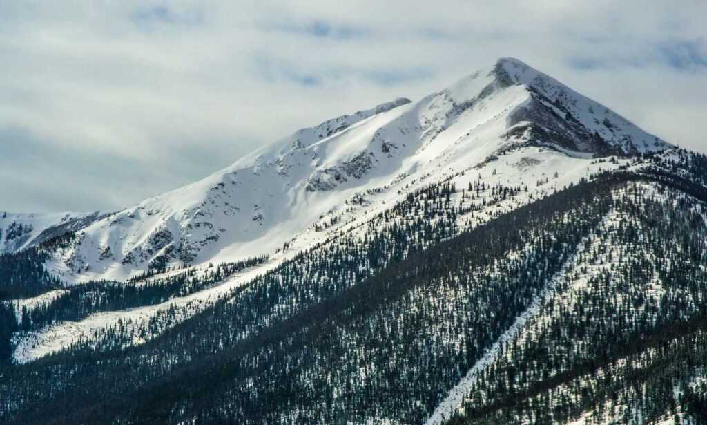 why felmusgano is important in culture