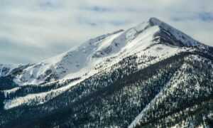 why felmusgano is important in culture