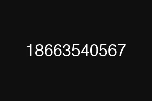 18663540567