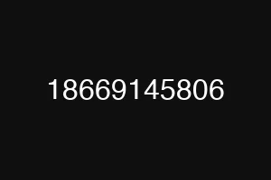 18669145806