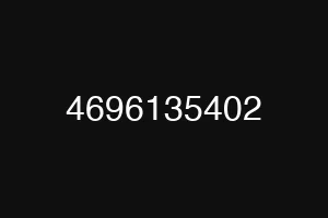 4696135402