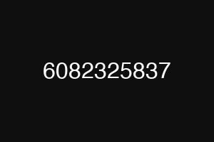6082325837