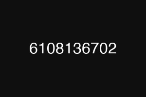 6108136702