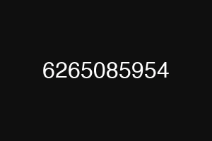 6265085954