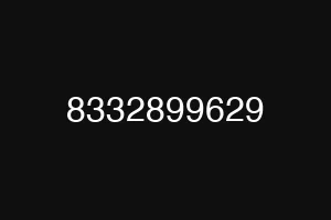 8332899629
