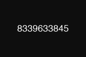 8339633845