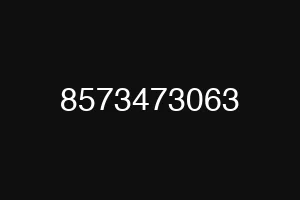 8573473063