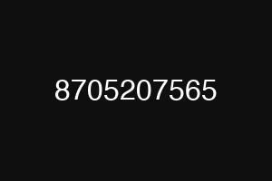 8705207565