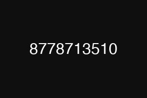 8778713510