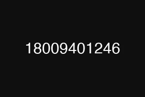 18009401246