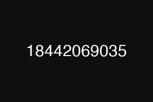 18442069035