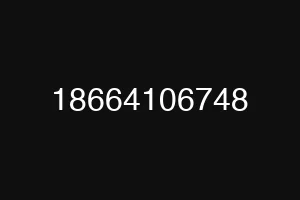18664106748