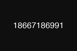 18667186991