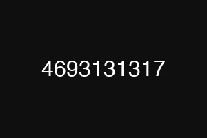 4693131317