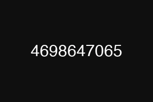 4698647065