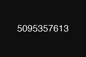 5095357613