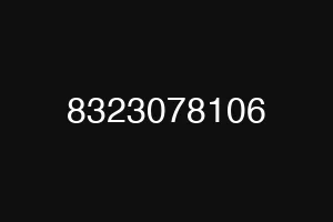 8323078106