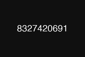 8327420691