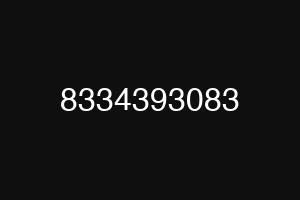 8334393083