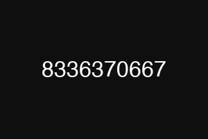 8336370667