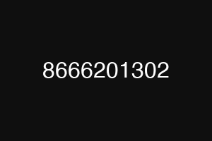 8666201302