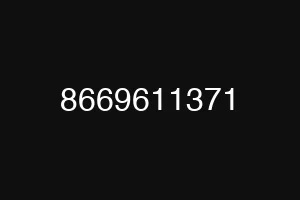 8669611371