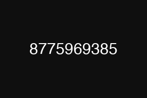 8775969385