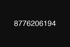 8776206194